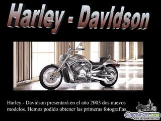 Harley - Davidson Harley - Davidson presentará en el año 2003 dos nuevos modelos. Hemos podido obtener las primeras fotografías. 