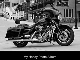 Harley Tradition My Harley Photo Album 