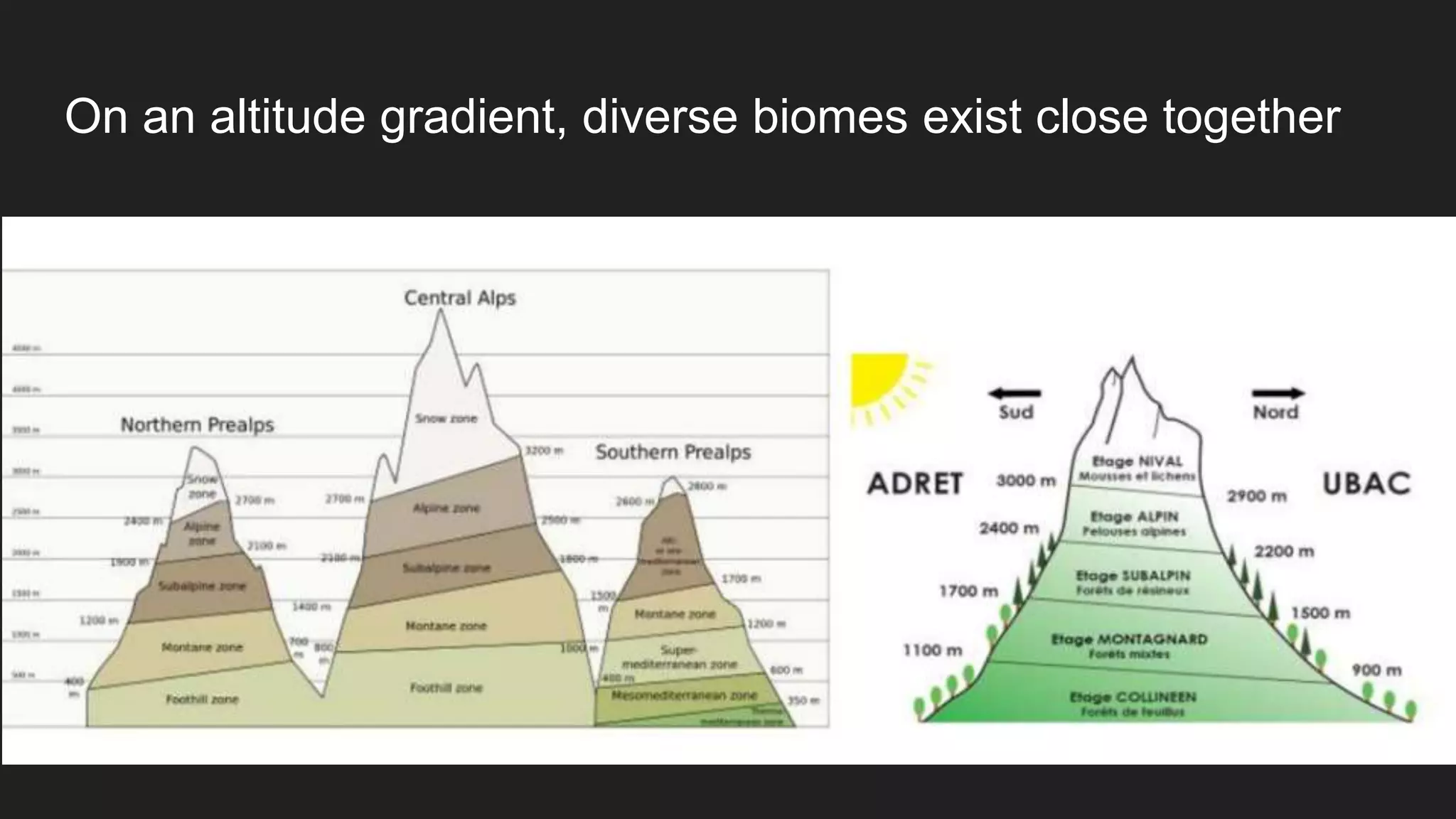 On an altitude gradient, diverse biomes exist close together
 