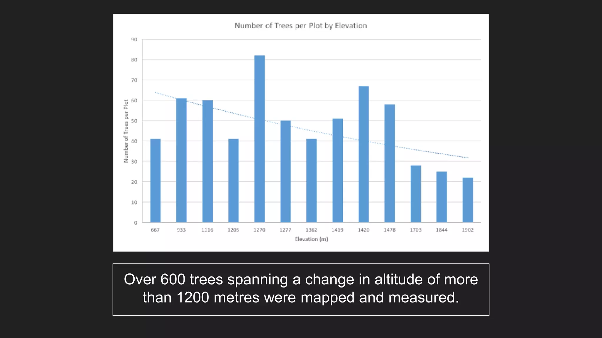 Over 600 trees spanning a change in altitude of more
than 1200 metres were mapped and measured.
 