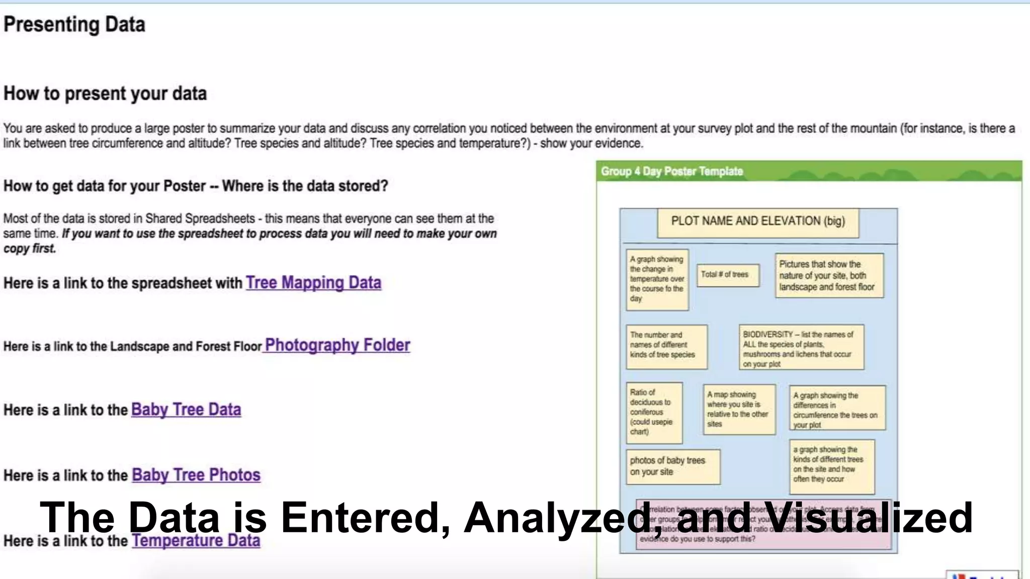 The Data is Entered, Analyzed, and Visualized
 