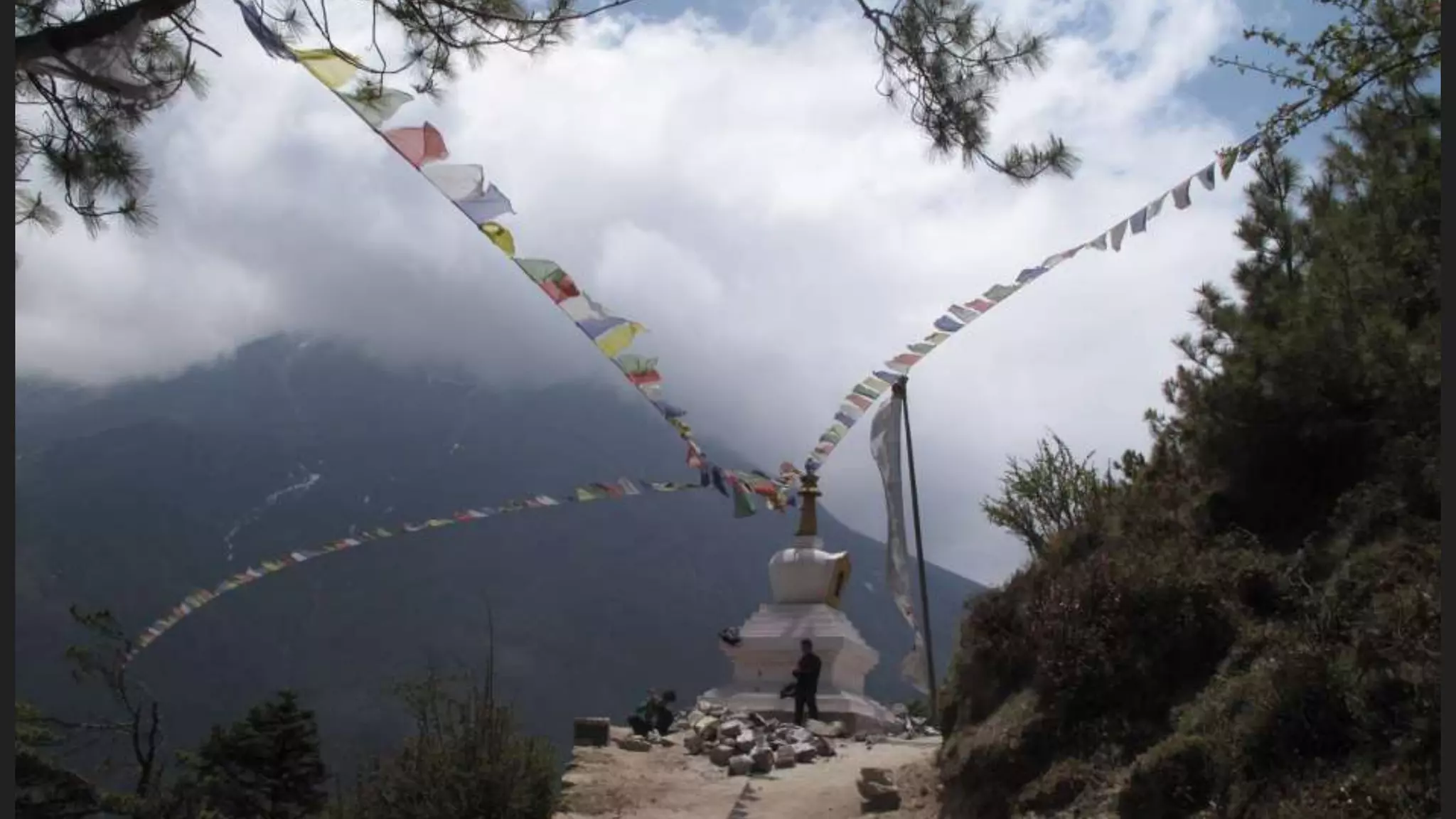 John Harlin & Dan Patton: LETS Study Climate: Sharing the Local Elevation Transect Survey, COST workshop