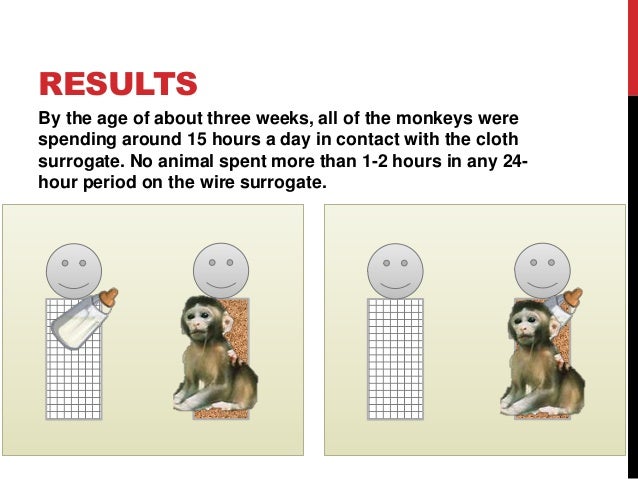harlow s monkeys