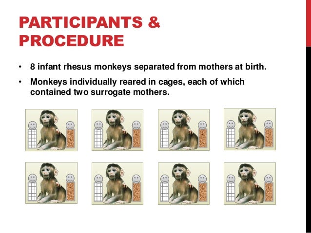 harlow s monkeys