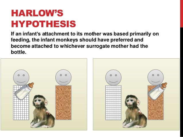 harlow s monkeys