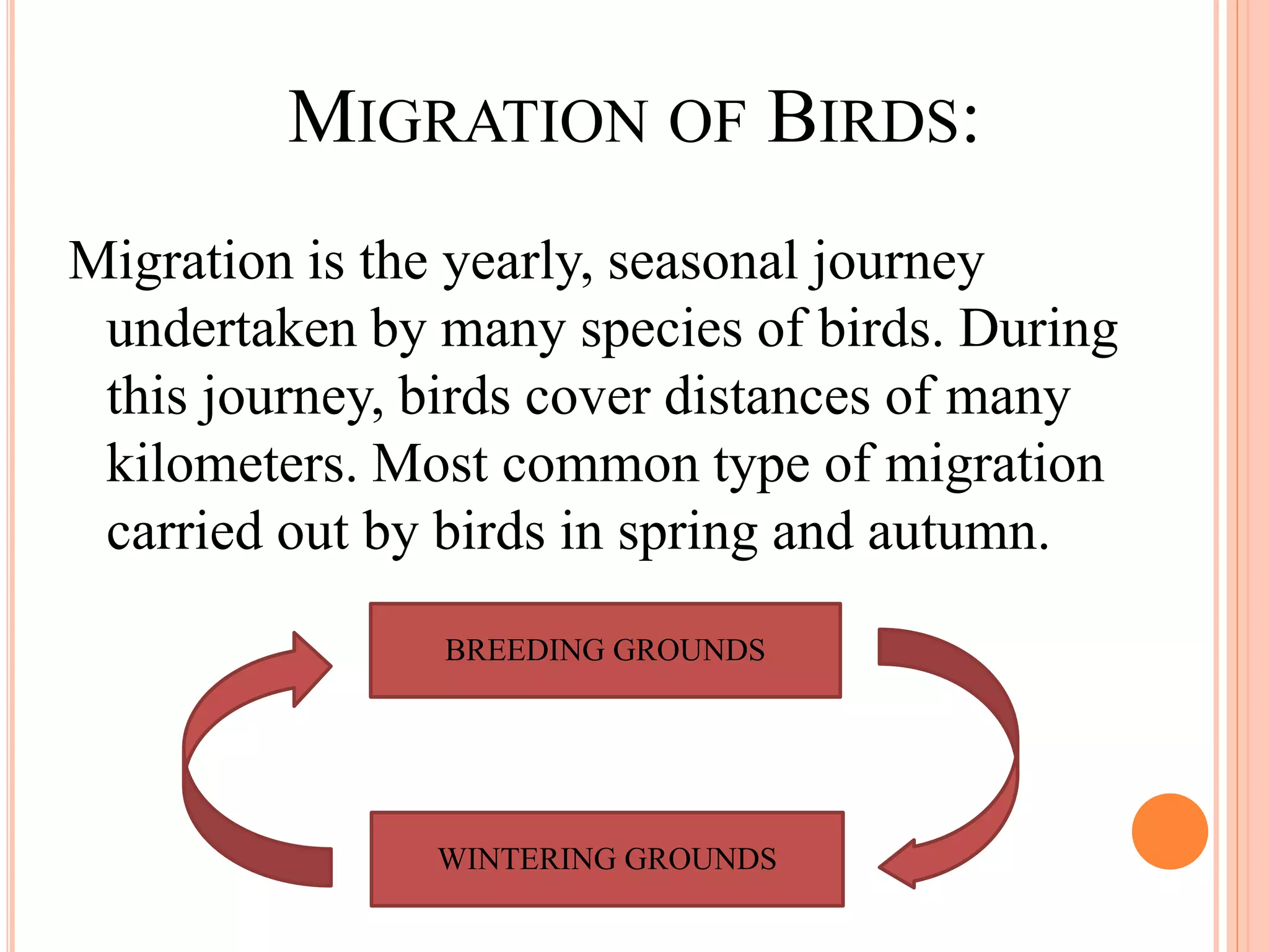 MIGRATION OF BIRDS: 
Migration is the yearly, seasonal journey 
undertaken by many species of birds. During 
this journey, birds cover distances of many 
kilometers. Most common type of migration 
carried out by birds in spring and autumn. 
BREEDING GROUNDS 
WINTERING GROUNDS 
 