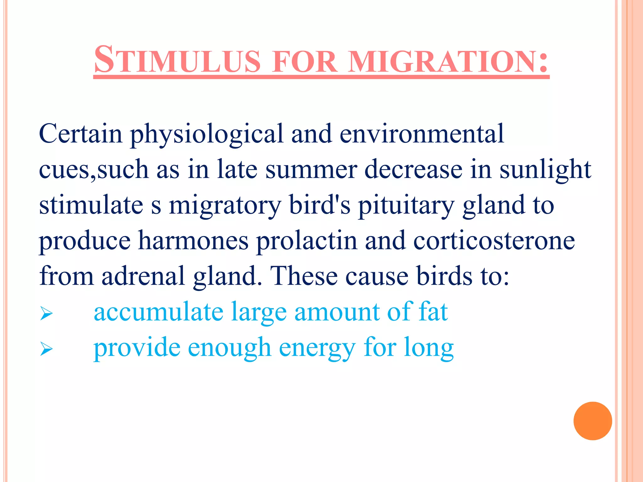 STIMULUS FOR MIGRATION: 
Certain physiological and environmental 
cues,such as in late summer decrease in sunlight 
stimulate s migratory bird's pituitary gland to 
produce harmones prolactin and corticosterone 
from adrenal gland. These cause birds to: 
 accumulate large amount of fat 
 provide enough energy for long 
 