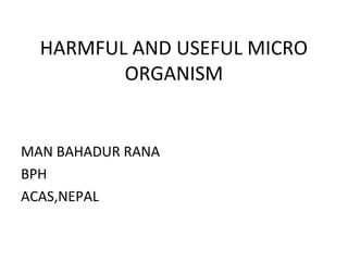 HARMFUL AND USEFUL MICRO
ORGANISM
MAN BAHADUR RANA
BPH
ACAS,NEPAL
 