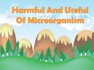 Harmful And Useful
 Of Microorganism
 