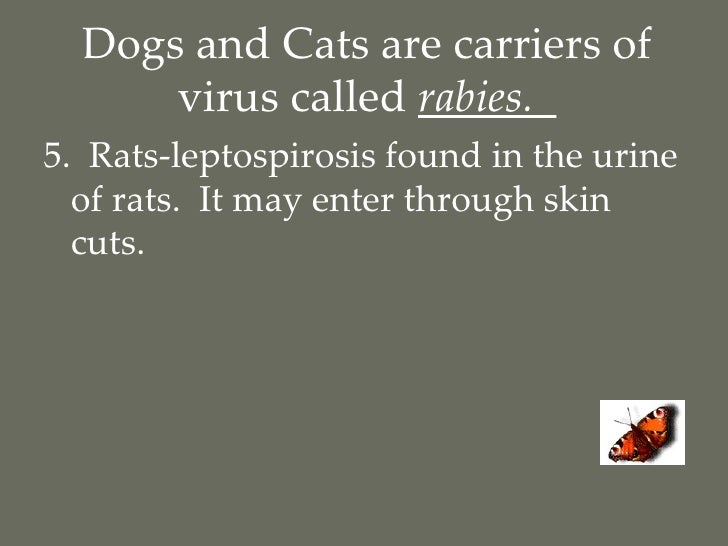 FYI