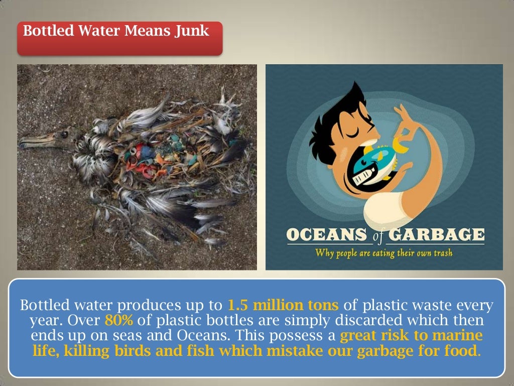 Harmful Effects Of Bottled Water