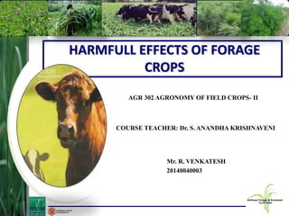 HARMFULL EFFECTS OF FORAGE
CROPS
AGR 302 AGRONOMY OF FIELD CROPS- II
COURSE TEACHER: Dr. S. ANANDHA KRISHNAVENI
Mr. R. VENKATESH
20140040003
 