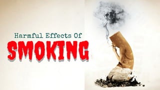 Smoking
Harmful Effects Of
Smoking
 