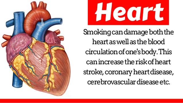 The Harmful Effects Of Smoking And Smoking