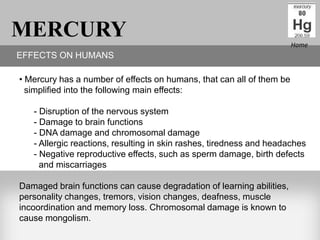 MERCURY                                                                Home
EFFECTS ON HUMANS

• Mercury has a number of effects on humans, that can all of them be
  simplified into the following main effects:

   - Disruption of the nervous system
   - Damage to brain functions
   - DNA damage and chromosomal damage
   - Allergic reactions, resulting in skin rashes, tiredness and headaches
   - Negative reproductive effects, such as sperm damage, birth defects
     and miscarriages

Damaged brain functions can cause degradation of learning abilities,
personality changes, tremors, vision changes, deafness, muscle
incoordination and memory loss. Chromosomal damage is known to
cause mongolism.
 