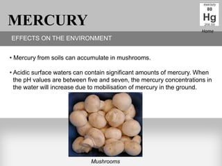 MERCURY                                                              Home
EFFECTS ON THE ENVIRONMENT


• Mercury from soils can accumulate in mushrooms.

• Acidic surface waters can contain significant amounts of mercury. When
  the pH values are between five and seven, the mercury concentrations in
  the water will increase due to mobilisation of mercury in the ground.




                             Mushrooms
 