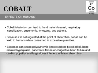 COBALT                                                                    Home
EFFECTS ON HUMANS


• Cobalt inhalation can lead to „hard metal disease‟, respiratory
  sensitization, pneumonia, wheezing, and asthma.

• Because it is not regulated at the point of absorption, cobalt can be
  toxic to humans when consumed in excessive quantities.

• Excesses can cause polycythemia (increased red blood cells), bone
  marrow hyperplasia, pancreatic failure or congestive heart failure and
  cardiomyopathy, and large doses interfere with iron absorption.
 
