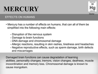 MERCURY                                                                Home
EFFECTS ON HUMANS

• Mercury has a number of effects on humans, that can all of them be
  simplified into the following main effects:

   - Disruption of the nervous system
   - Damage to brain functions
   - DNA damage and chromosomal damage
   - Allergic reactions, resulting in skin rashes, tiredness and headaches
   - Negative reproductive effects, such as sperm damage, birth defects
     and miscarriages

Damaged brain functions can cause degradation of learning
abilities, personality changes, tremors, vision changes, deafness, muscle
incoordination and memory loss. Chromosomal damage is known to
cause mongolism.
 