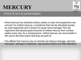 MERCURY                                                                 Home
EFFECTS ON THE ENVIRONMENT


• Once mercury has reached surface waters or soils microorganisms can
  convert it to methyl mercury, a substance that can be absorbed quickly
  by most organisms and is known to cause nerve damage. Fish are
  organisms that absorb great amounts of methyl mercury from surface
  waters every day. As a consequence, methyl mercury can accumulate in
  fish and in the food chains that they are part of.

• The effects that mercury has on animals are kidneys damage, stomach
  disruption, damage to intestines, reproductive failure and DNA alteration.
 