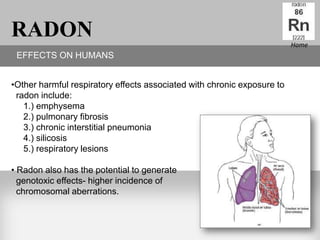 RADON                                                                    Home
 EFFECTS ON HUMANS


•Other harmful respiratory effects associated with chronic exposure to
 radon include:
   1.) emphysema
   2.) pulmonary fibrosis
   3.) chronic interstitial pneumonia
   4.) silicosis
   5.) respiratory lesions

• Radon also has the potential to generate
  genotoxic effects- higher incidence of
  chromosomal aberrations.
 