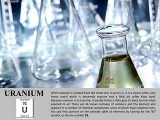 URANIUM   When uranium is isolated from the metal ores it occurs in, it is a silvery white, very
          heavy metal which is extremely reactive and a little bit softer than steel.
          Because uranium is so reactive, it quickly forms a thick gray to black tarnish when
          exposed to air. There are 14 known isotopes of uranium, and the element also
          appears in a number of chemical compounds, some of which have industrial uses.
          You can find uranium on the periodic table of elements by looking for the “U”
          symbol, or atomic number 92.
 
