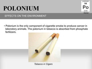 POLONIUM                                                            Home
EFFECTS ON THE ENVIRONMENT


• Polonium is the only component of cigarette smoke to produce cancer in
  laboratory animals. The polonium in tobacco is absorbed from phosphate
  fertilizers.




                         Tobacco in Cigars
 