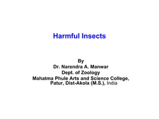 Harmful Insects
By
Dr. Narendra A. Manwar
Dept. of Zoology
Mahatma Phule Arts and Science College,
Patur, Dist-Akola (M.S.), India
 