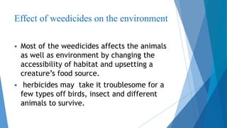 Harmful effects of weedicide | PPTX