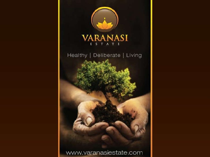 How Plastic Bags Harm Nature