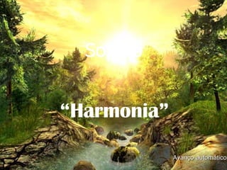 Soneto “ Harmonia” Avanço automático 