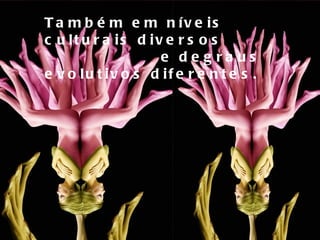 Também em níveis culturais diversos  e degraus evolutivos diferentes. 