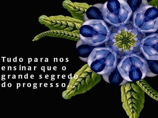 Tudo para nos ensinar que o grande segredo do progresso... 