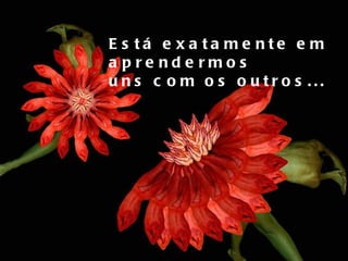 Está exatamente em aprendermos  uns com os outros... 