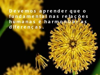 Devemos aprender que o fundamental nas relações humanas é harmonizar as diferenças. 