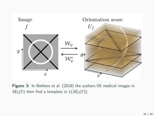 Figure 3: In Bekkers et al. (2018) the authors lift medical images in
SE2(R) then ﬁnd a template in L(SE2(R)).
34 / 36
 