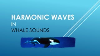 HARMONIC WAVES
IN
WHALE SOUNDS
 