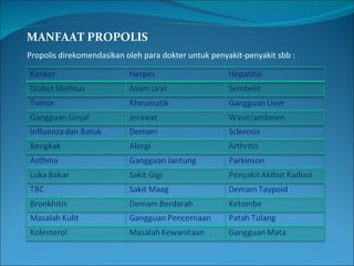MANFAAT PROPOLIS Propolis direkomendasikan oleh para dokter untuk penyakit-penyakit sbb :  