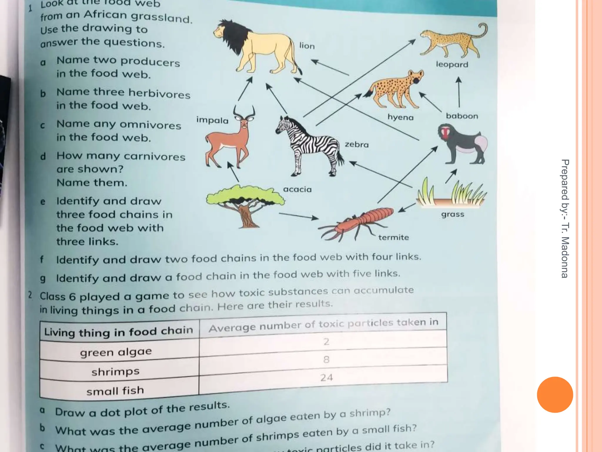 harms to food chains and food webs.pptx for grade 6 | PPTX