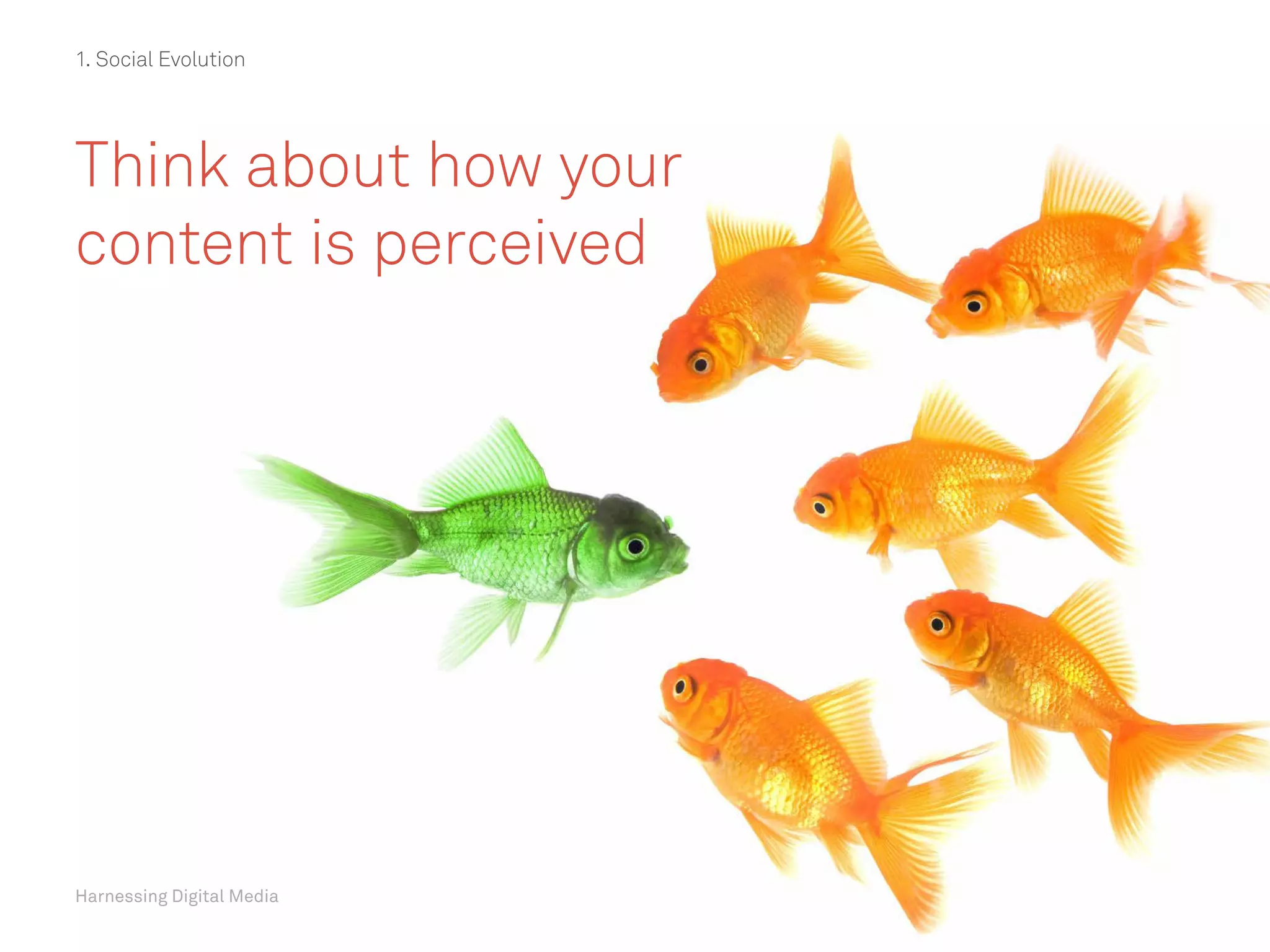 Harnessing Digital Media
Think about how your
content is perceived
Harnessing Digital Media
1. Social Evolution
 