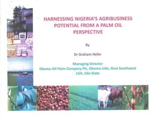Harnessing Nigeria's Agribusiness Potential From a Palm Oil Prespective