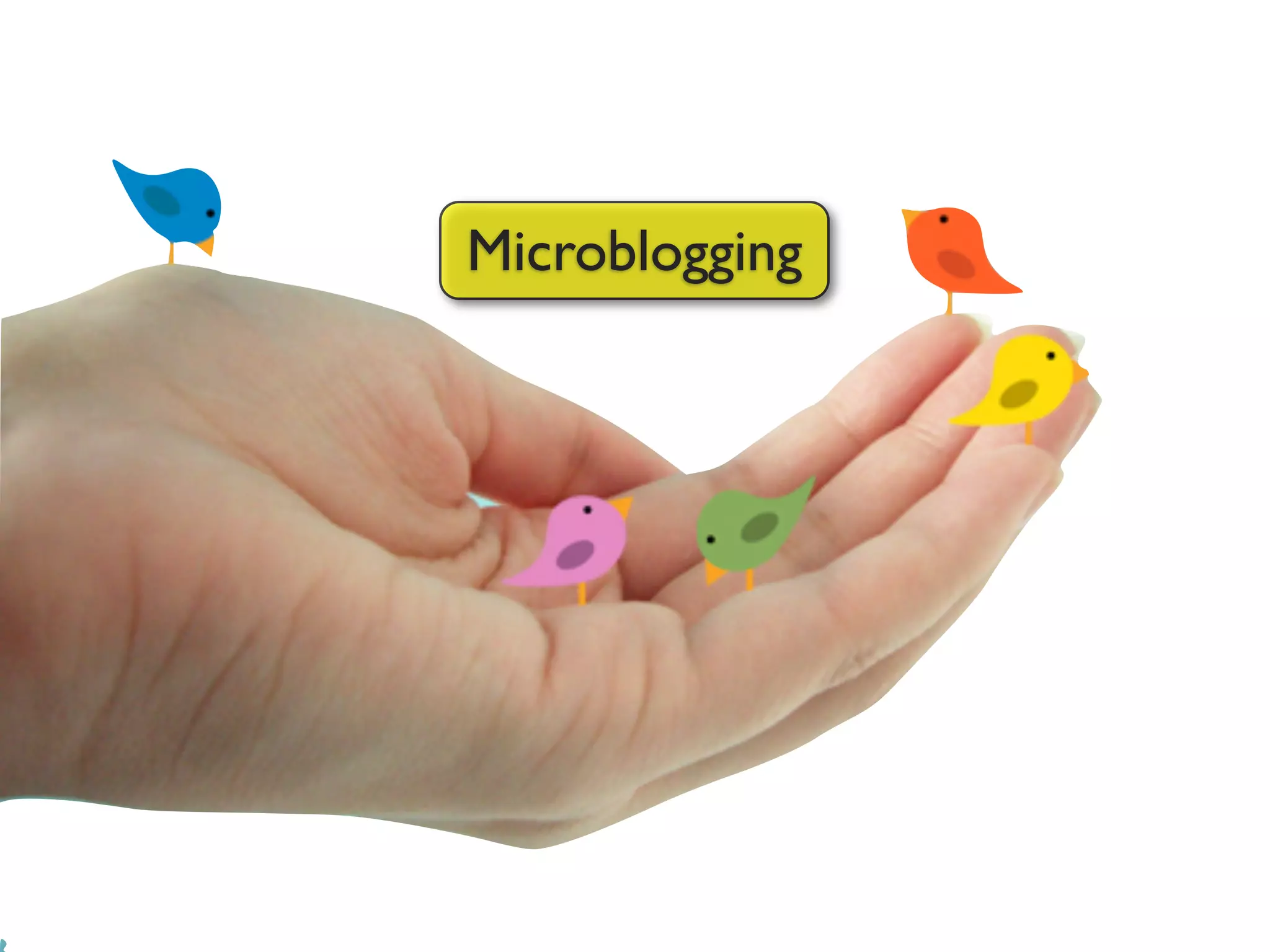 Harnessing the Power of Social Networks in Teaching & Learning