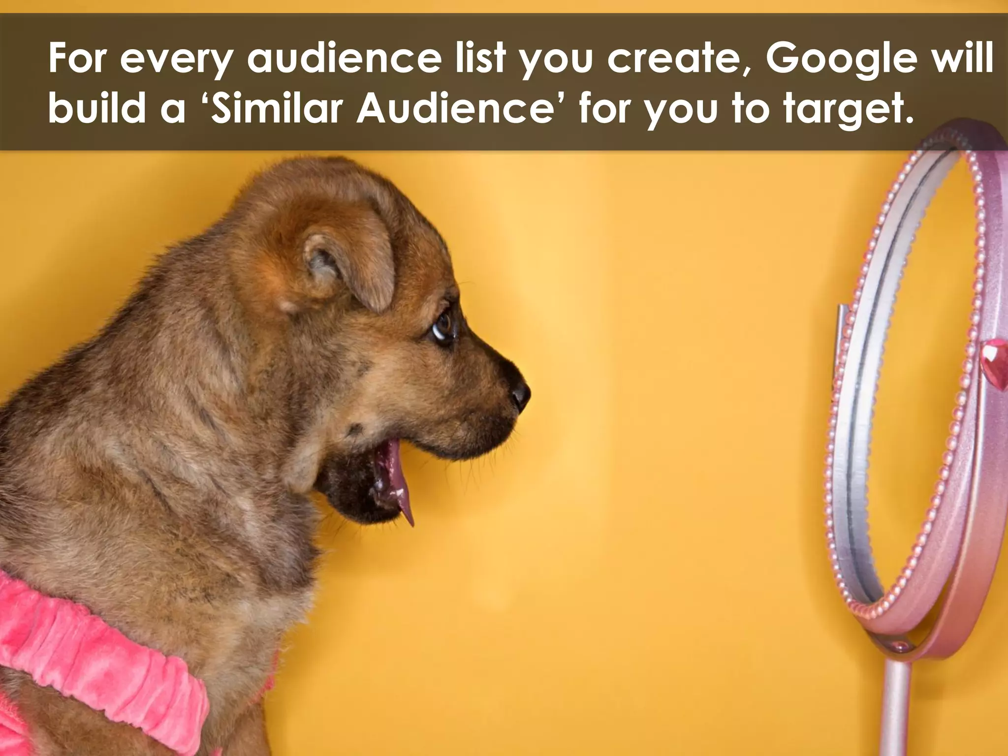 For every audience list you create, Google will
build a ‘Similar Audience’ for you to target.
 