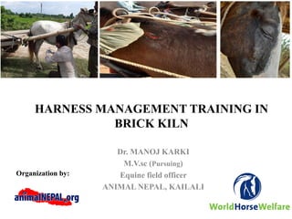 HARNESS MANAGEMENT TRAINING IN
BRICK KILN
Dr. MANOJ KARKI
M.V.sc (Pursuing)
Equine field officer
ANIMAL NEPAL, KAILALI
Organization by:
 