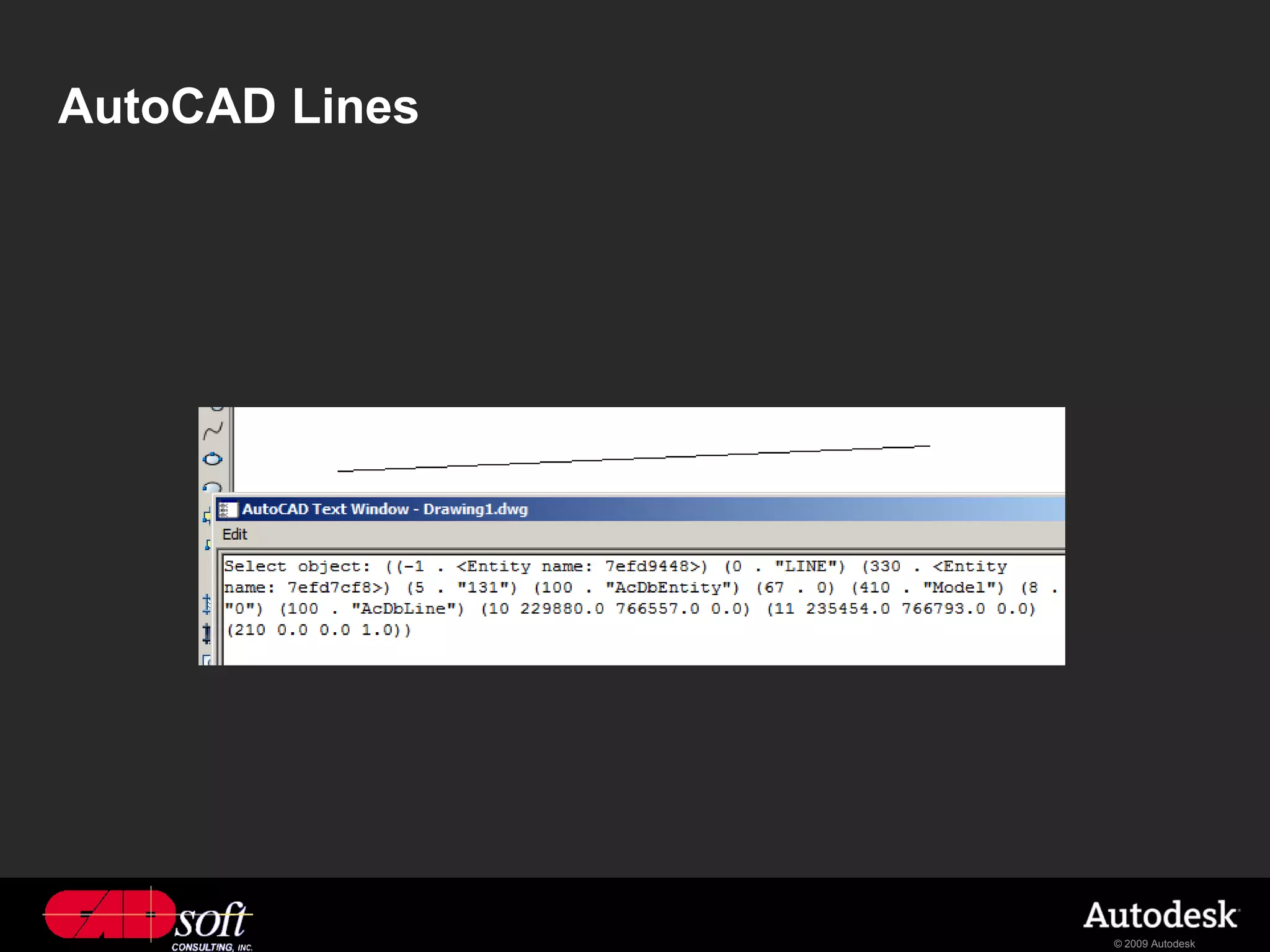 AutoCAD Lines




                © 2009 Autodesk
 