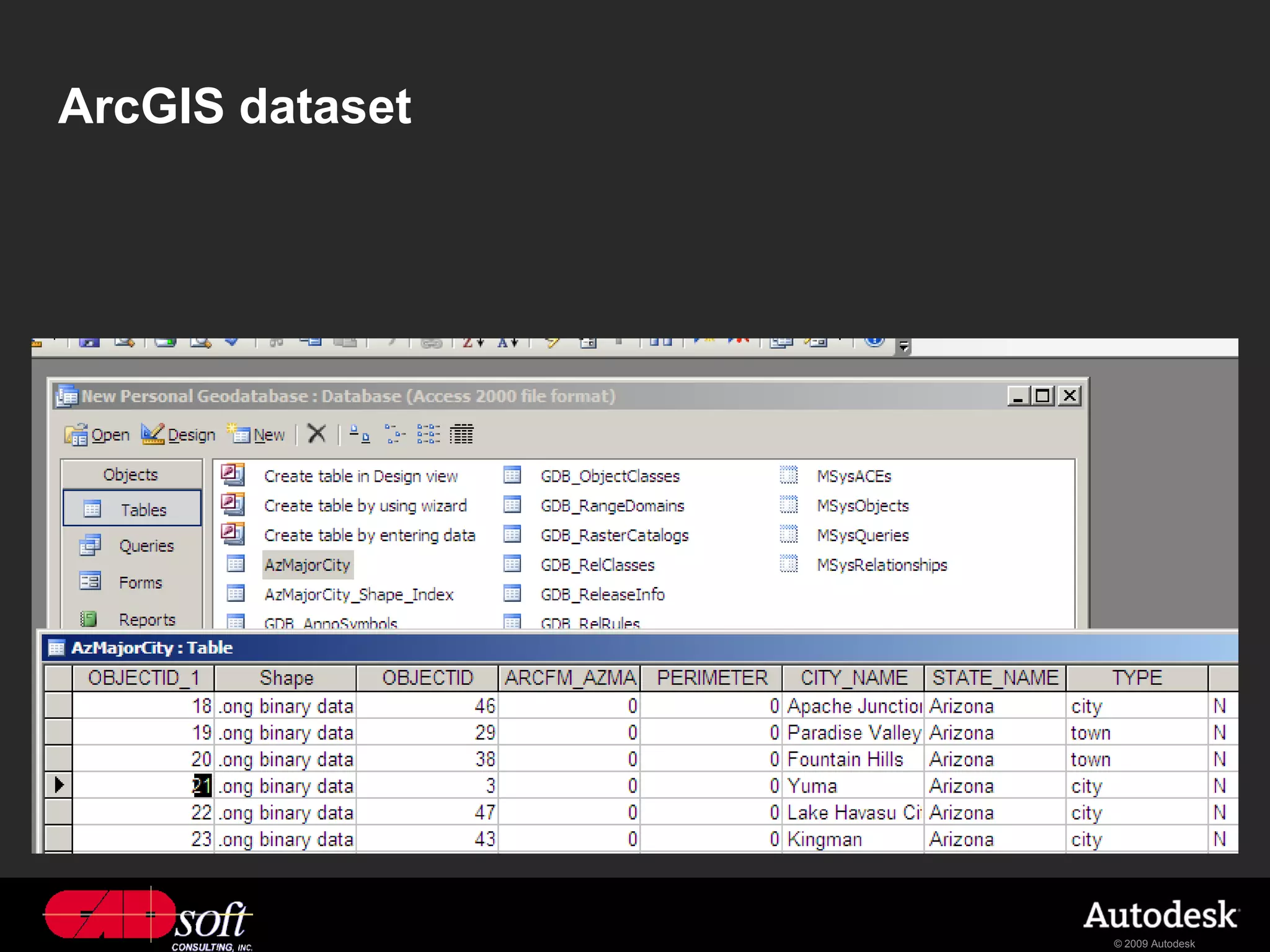 ArcGIS dataset




                 © 2009 Autodesk
 