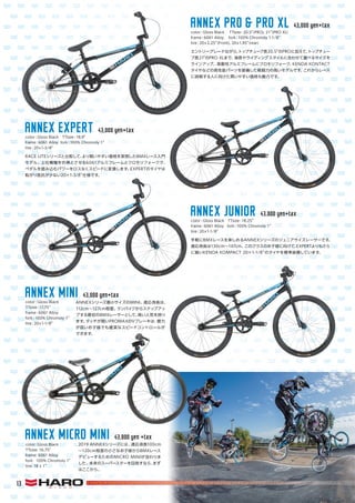 HARO BIKES 2019 catalog for web