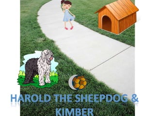Harold the Sheepdog &  Kimber 