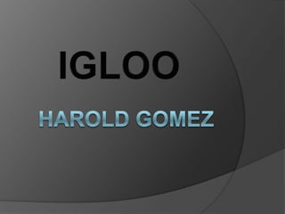 Harold Gomez IGLOO 