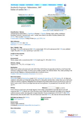 About this page    Languages       User feedbacks     Citation        Uploads          Related species              FishBase
                                                                                                                   Advertisement
Sardinella longiceps Valenciennes, 1847
Indian oil sardine Like 0
                                                                                                             You can sponsor this page
                  Upload your photos and videos                                      Add your observation in Fish Watcher
                    | All pictures | Google image |                        | Native range | All suitable habitat | PointMap | Year 2050 |




                        Sardinella longiceps
                       Picture by Randall, J.E.

                                                                                   This map was computer-generated and has not yet been reviewed.
                                                                      Sardinella longiceps AquaMaps Data sources: GBIF OBIS
Classification / Names
Actinopterygii (ray-finned fishes) > Clupeiformes (Herrings) > Clupeidae (Herrings, shads, sardines, menhadens)
Etymology: Sardinella: Latin and Greek, sarda = sardine; name related to the island of Sardinia; diminutive (Ref.
45335). More on author: Valenciennes.
Common names | Synonyms | Catalog of Fishes (gen., sp.) | ITIS | CoL
Main reference
Whitehead, P.J.P. 1985. (Ref. 188)
References | Coordinator | Collaborators
Size / Weight / Age
Max length : 23.0 cm SL male/unsexed; (Ref. 188); common length : 20.0 cm SL male/unsexed; (Ref. 188); max. published
weight: 200 g (Ref. 4883); max. reported age: 3 years (Ref. 3689)
Length at first maturity
Lm 16.3 range ? - ? cm

Environment
Marine; pelagic-neritic; oceanodromous (Ref. 51243); depth range 20 - 200 m (Ref. 28016)
Climate / Range
Tropical; 25°N - 7°N, 57°E - 81°E (Ref. 54872)
Distribution
Indian Ocean: northern and western parts only, Gulf of Aden, Gulf of Oman, but apparently not Red Sea or the Persian Gulf,
eastward to southern part of India, on eastern coast to Andhra; possibly to the Andaman Islands. Thus, studies pertaining to this
species from the Philippines or Indonesia probably refer to Sardinella lemuru.
Countries | FAO areas | Ecosystems | Occurrences | Introductions
Short description
Dorsal spines (total): 0; Dorsal soft rays (total): 13-21; Anal spines: 0; Anal soft rays: 12 - 23; Vertebrae: 45 - 49. Body sub-
cylindrical; a faint golden spot behind gill opening, followed by a faint golden mid-lateral line; a distinct black spot at hind border
of gill cover (absence of pigment). Distinguished from all clupeids in the northern Indian Ocean by its pelvic fin ray count of i 8;
from S. neglecta and S. lemuru by its longer head and more lower gill rakers. No prominent keel. See also Refs. 3683, 818
and 393 .
Biology                                                              Glossary                                   Search (e.g. epibenthic)

Forms schools in coastal waters and strongly migratory. Feeds mainly on phytoplankton (especially diatoms) and small
crustaceans (Ref. 30573). Breeds once a year off western coasts of India when temperatures and salinity are low during the
southwest monsoon months. Spawning peaks in August-September. Occurs at temperatures of 22.0-28.0 °C (Ref. 3689).
Marketed fresh, dried and dried-salted. Also sold smoked and canned (Ref. 9987). Also made into fish meal and fish balls.
IUCN Red List Status (Ref. 90363)                                 Threat to humans
       Least Concern (LC)                                                Harmless
Human uses
Fisheries: highly commercial
FAO(fisheries: production) | FisheriesWiki | Sea Around Us |
More information

Countries                  Common names               Age/Size                      References                            Collaborators
FAO areas                  Synonyms                   Growth                        Aquaculture                           Pictures

                                                                                                                                           converted by Web2PDFConvert.com
 