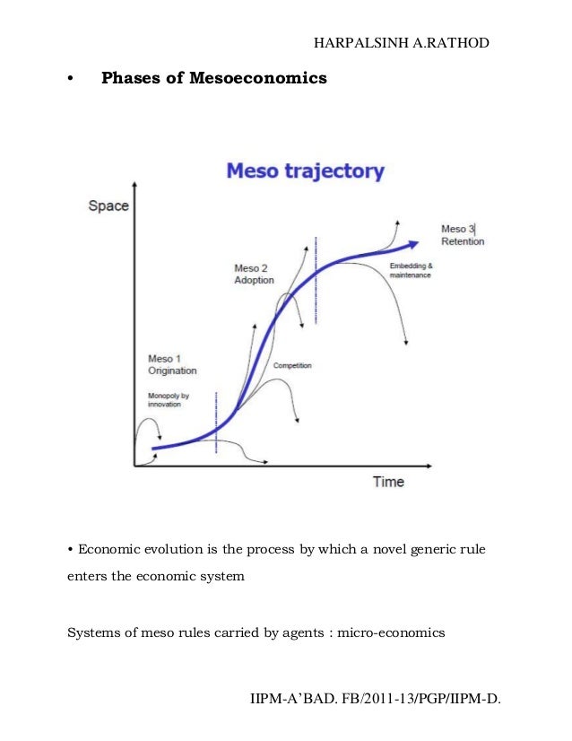 meso economics